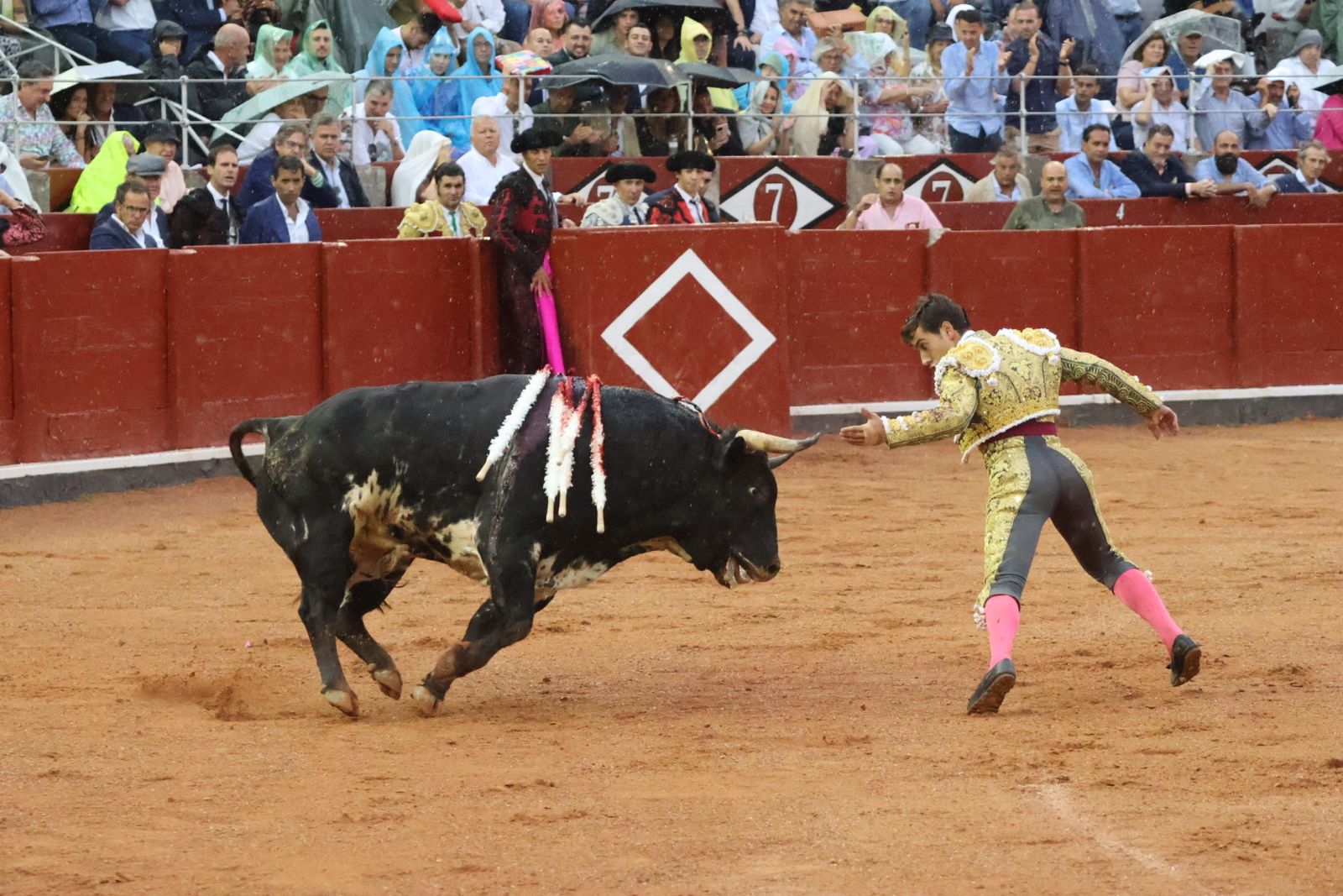 Ismael Martín, Marco Pérez y el aclamado regreso de Morante de la Puebla: su paso por La Glorieta en imágenes