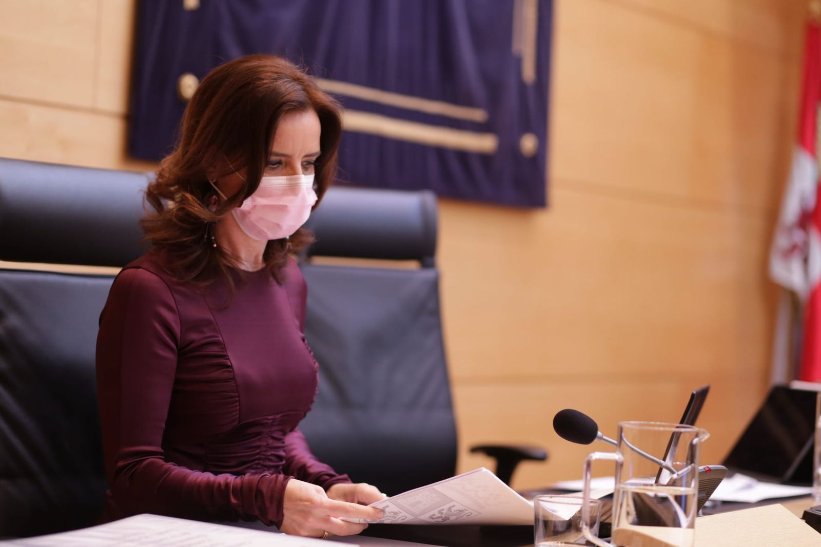 Ana Carlota Amigo, en las Cortes