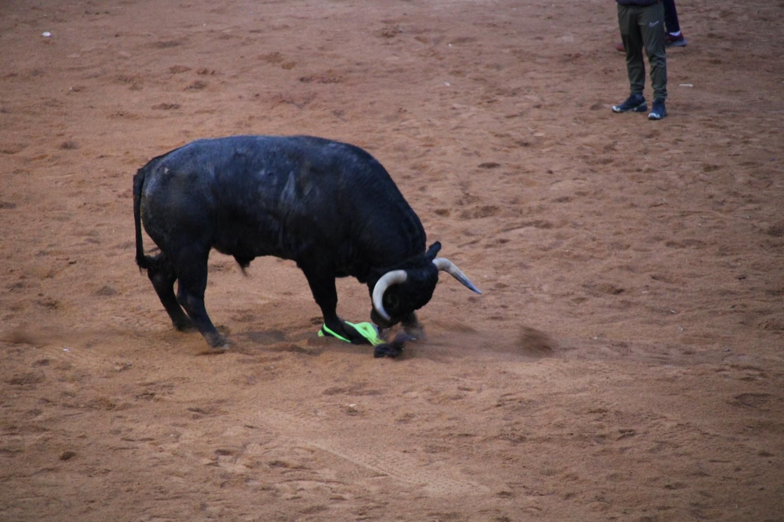 whatsapp-image-2025-03-02-at-19-32-39-3