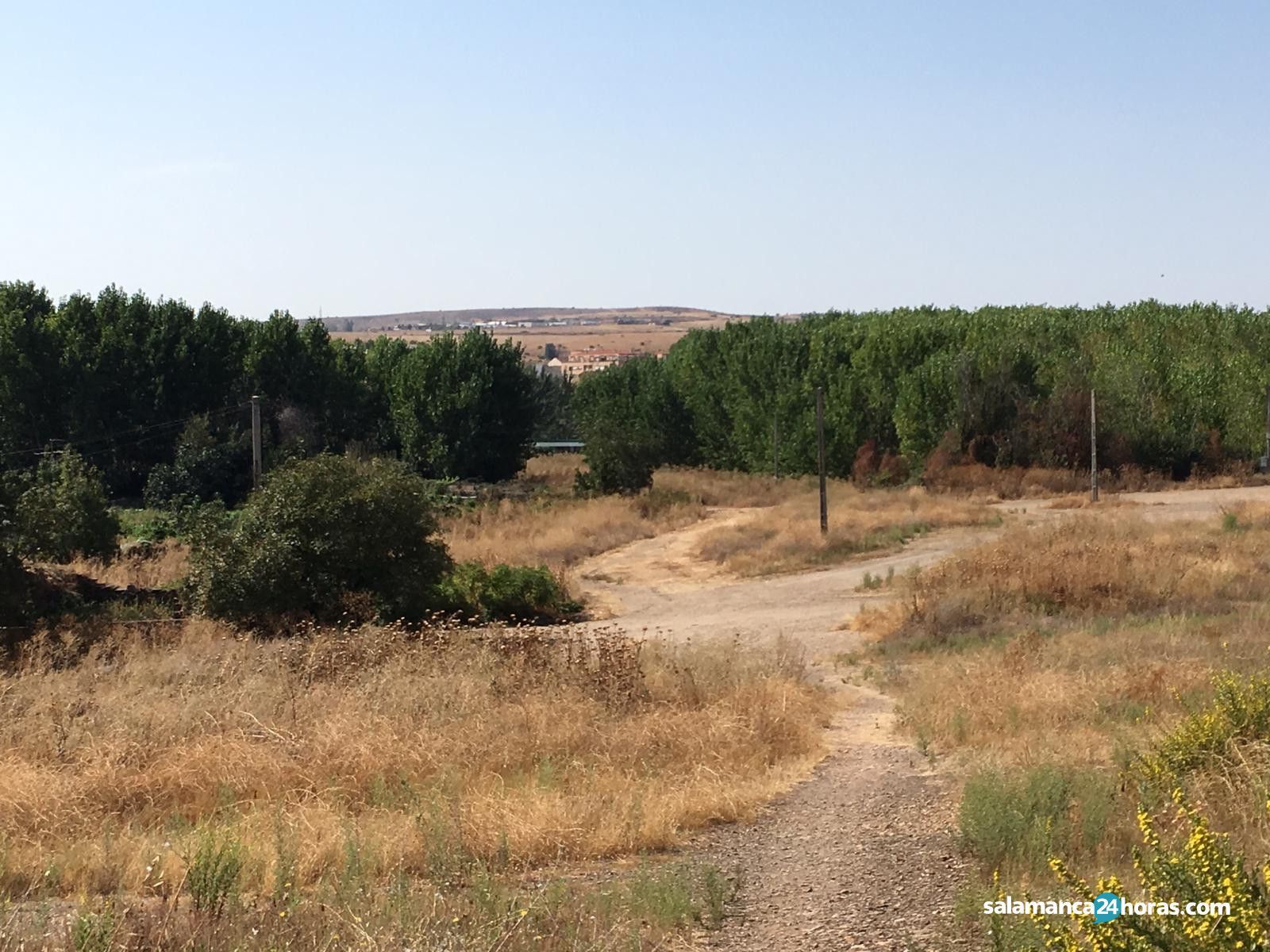 Huerta Otea El Marín