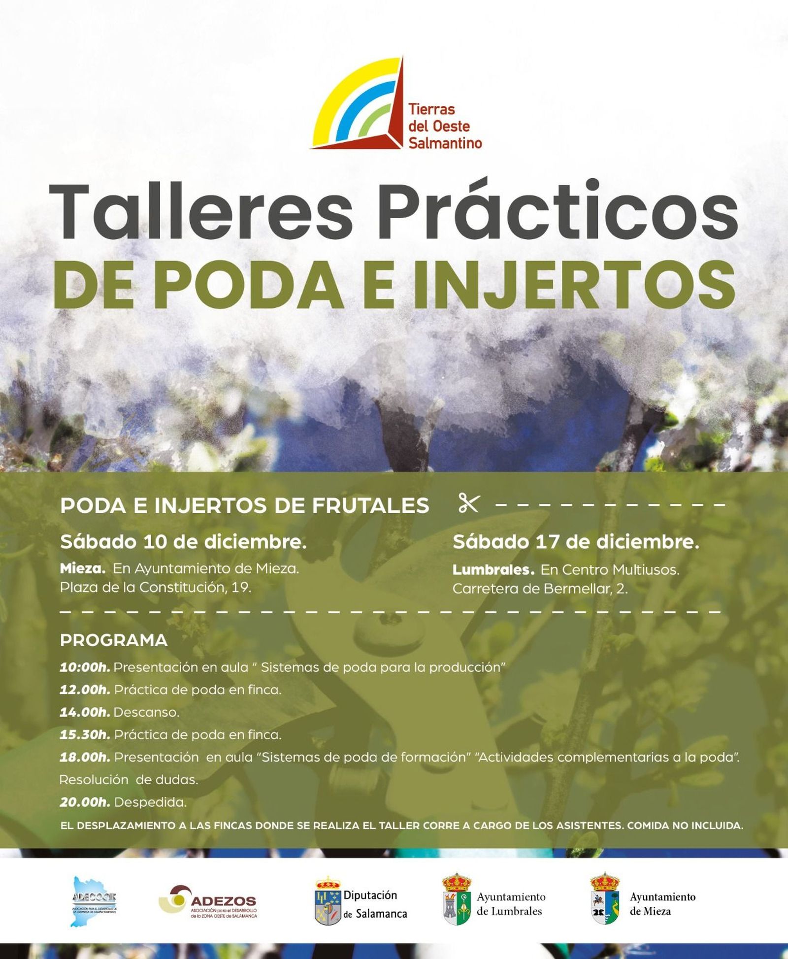 Taller poda e injertos Mieza 