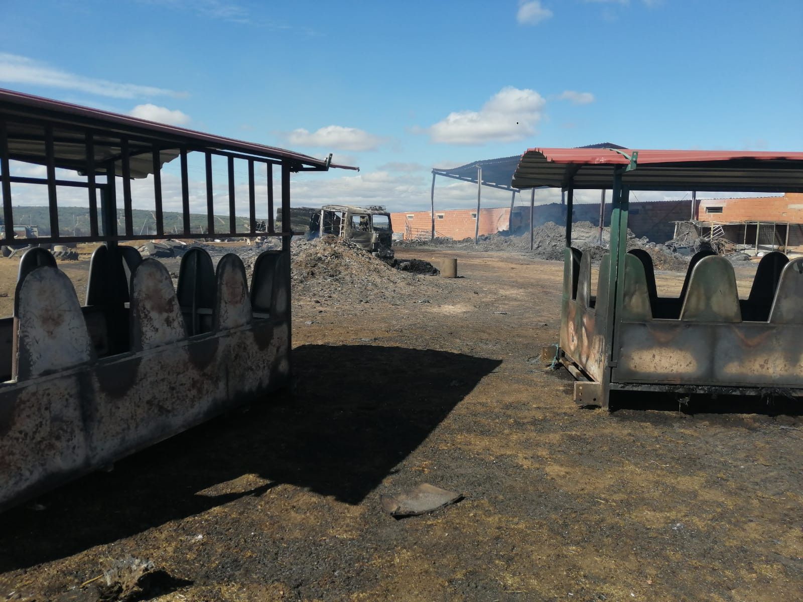 WhatsApp Image 2020 08 16 at 11.39.29 (2)