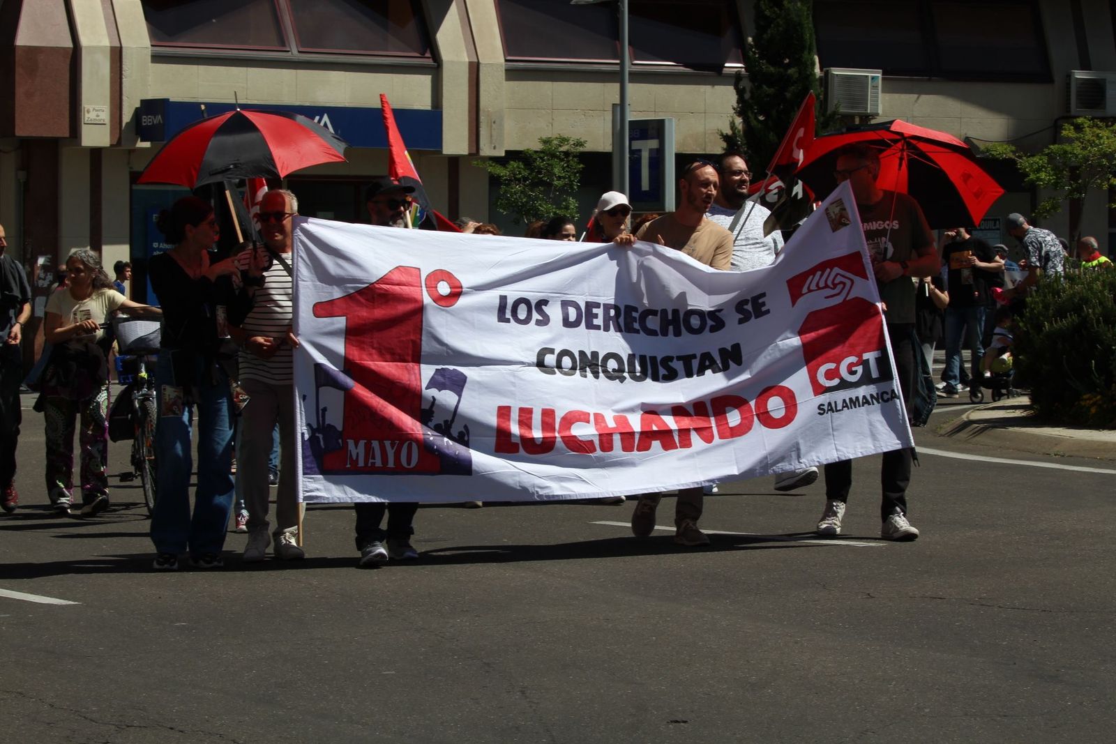 20230501133753-img-5975