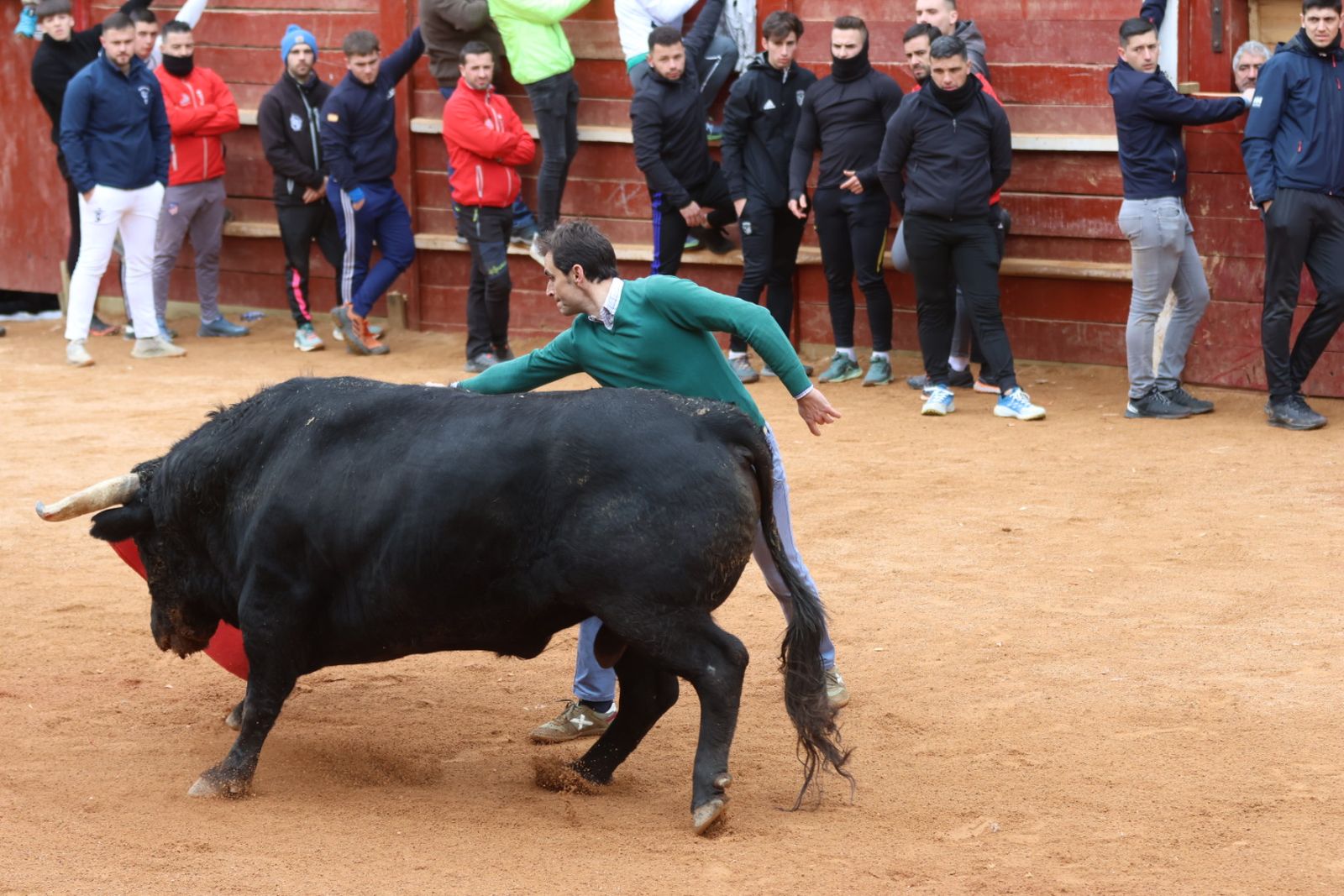 Mañana de capea de lunes en el Carnaval del Toro 2026