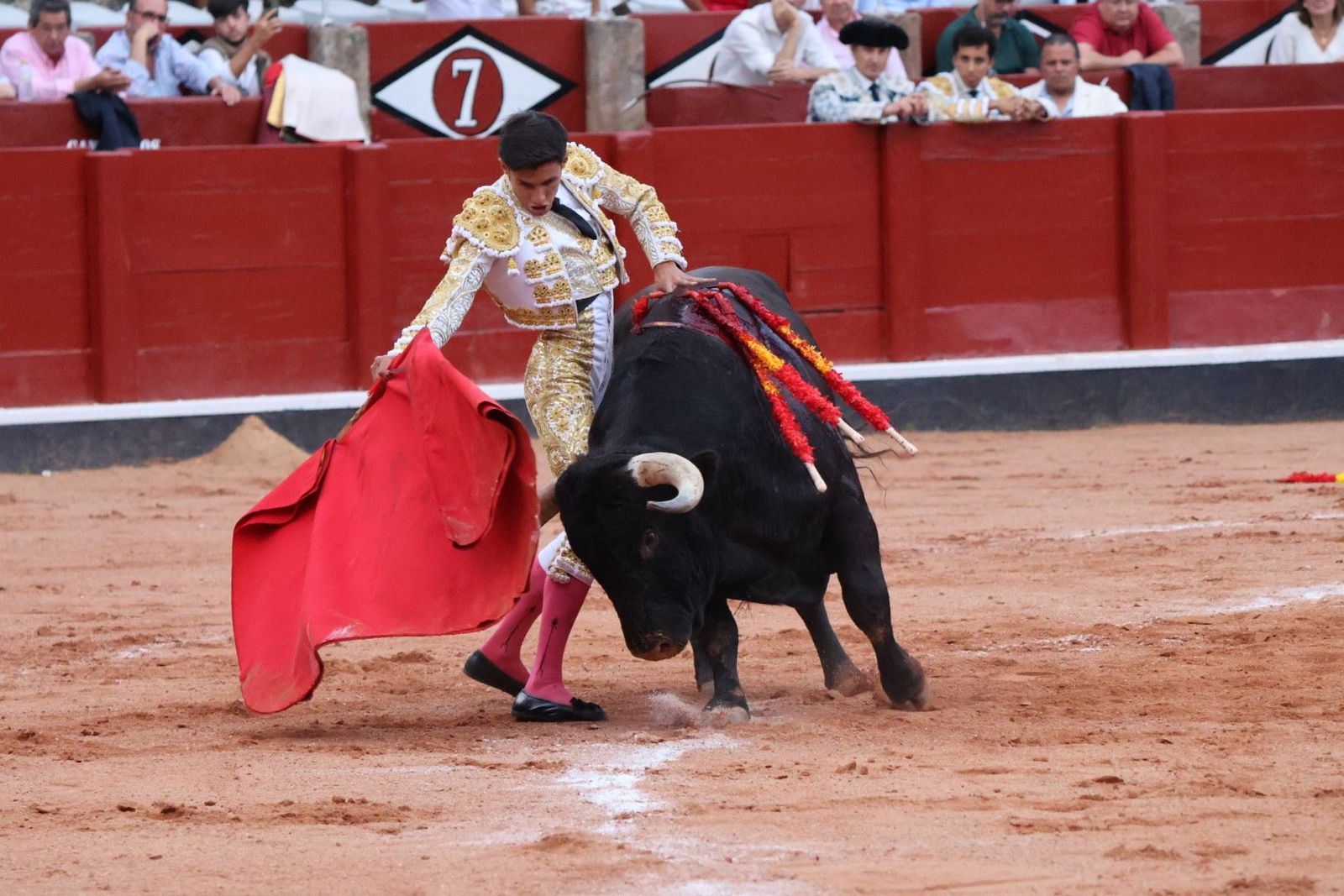 20230910192448-img-2317