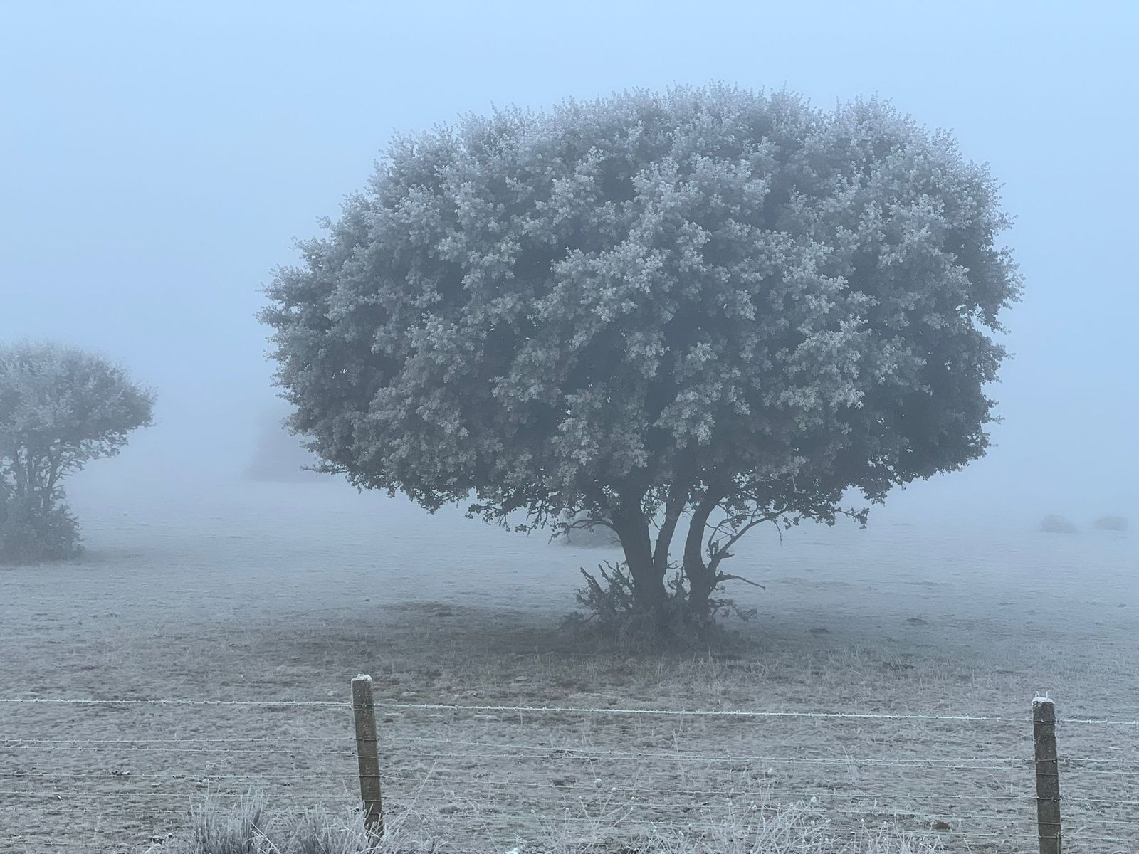 whatsapp-image-2025-02-06-at-09-38-56