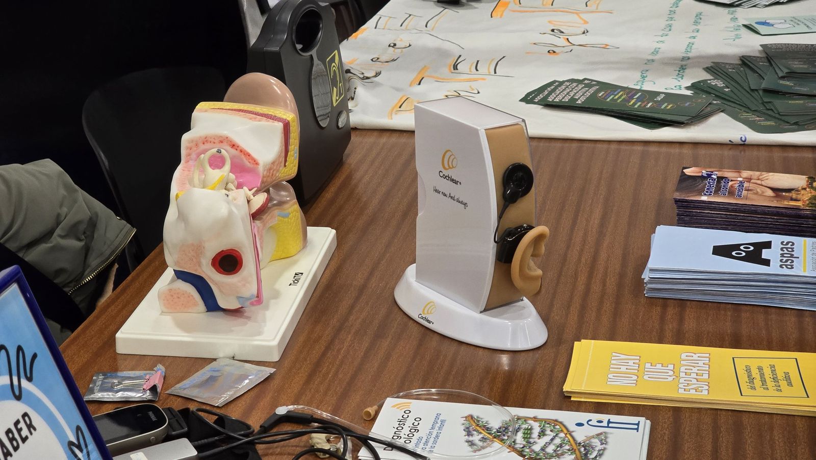 La Delegación de Estudiantes de Medicina organiza una Feria de Especialidades para orientar a los futuros sanitarios