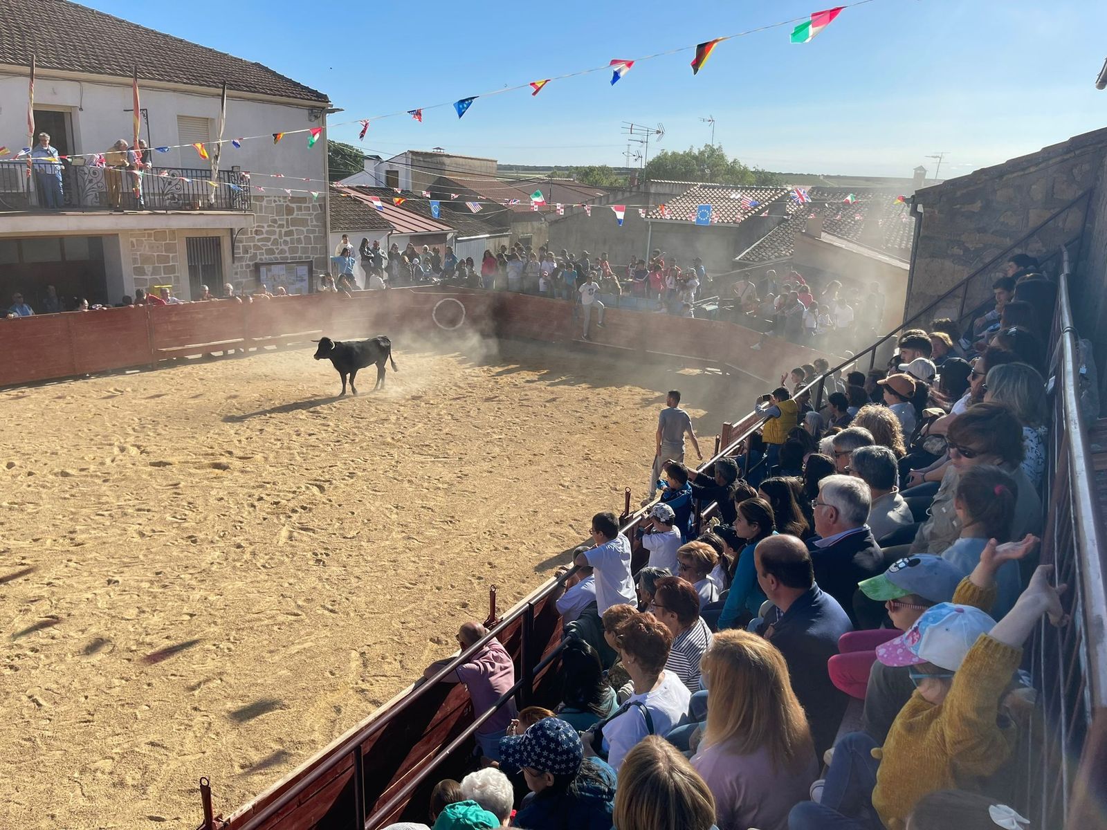 suelta-de-vaquillas-en-cabrillas-9