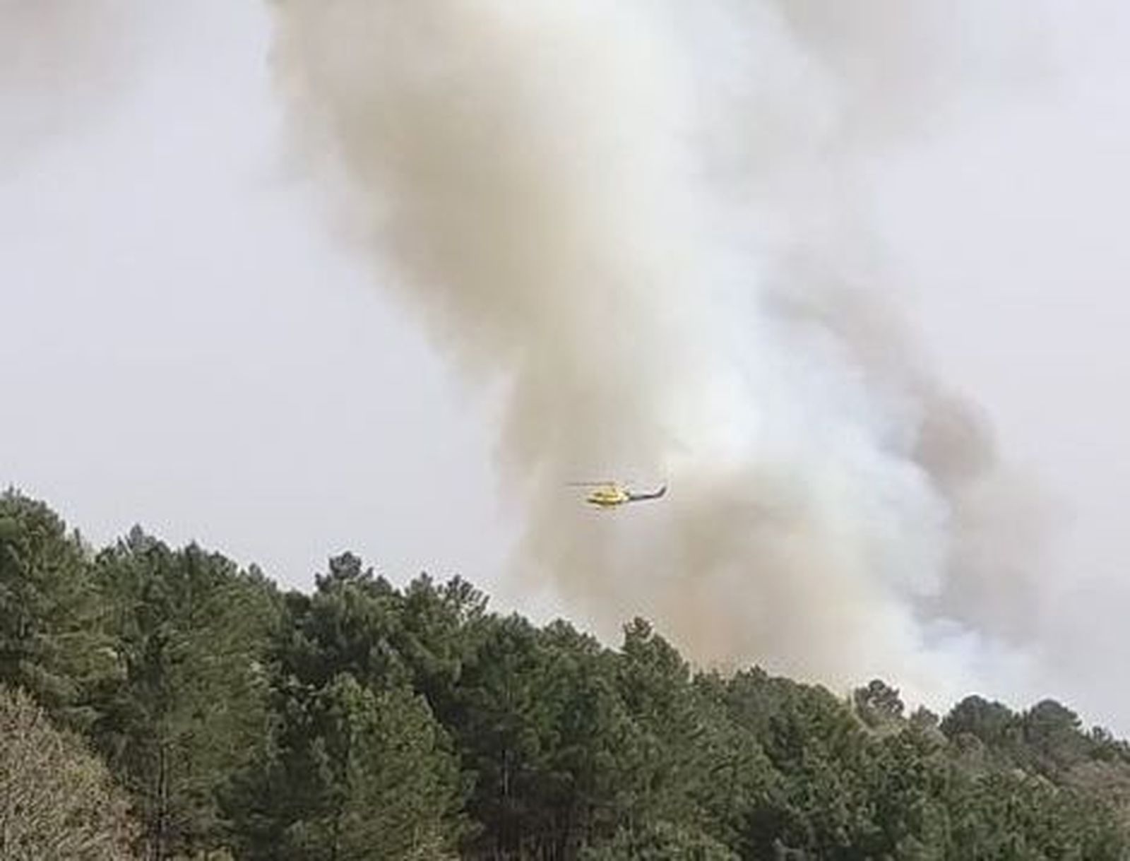 GALERÍA-VÍDEO | Medios aéreos y terrestres trabajan para sofocar un incendio en Herguijuela de la Sierra