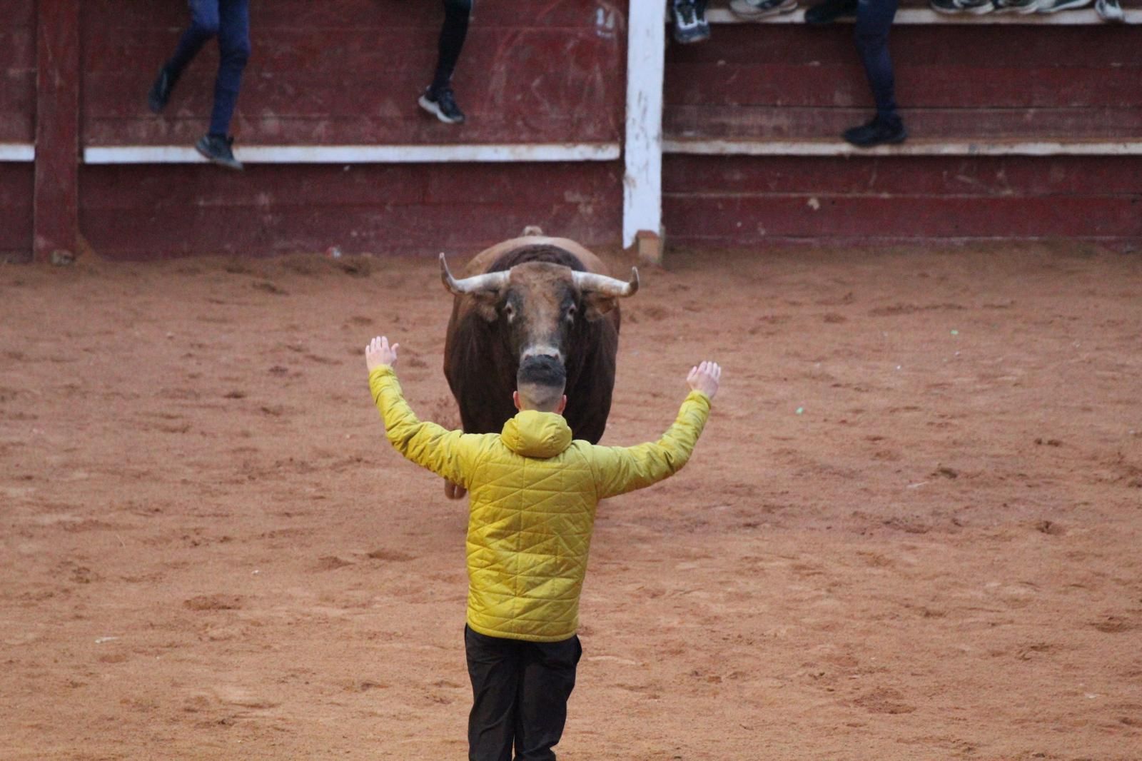 ambiente-y-capea-vespertina-sabado-de-carnaval-en-ciudad-rodrigo-2025-fotos-belen-hurtado-60