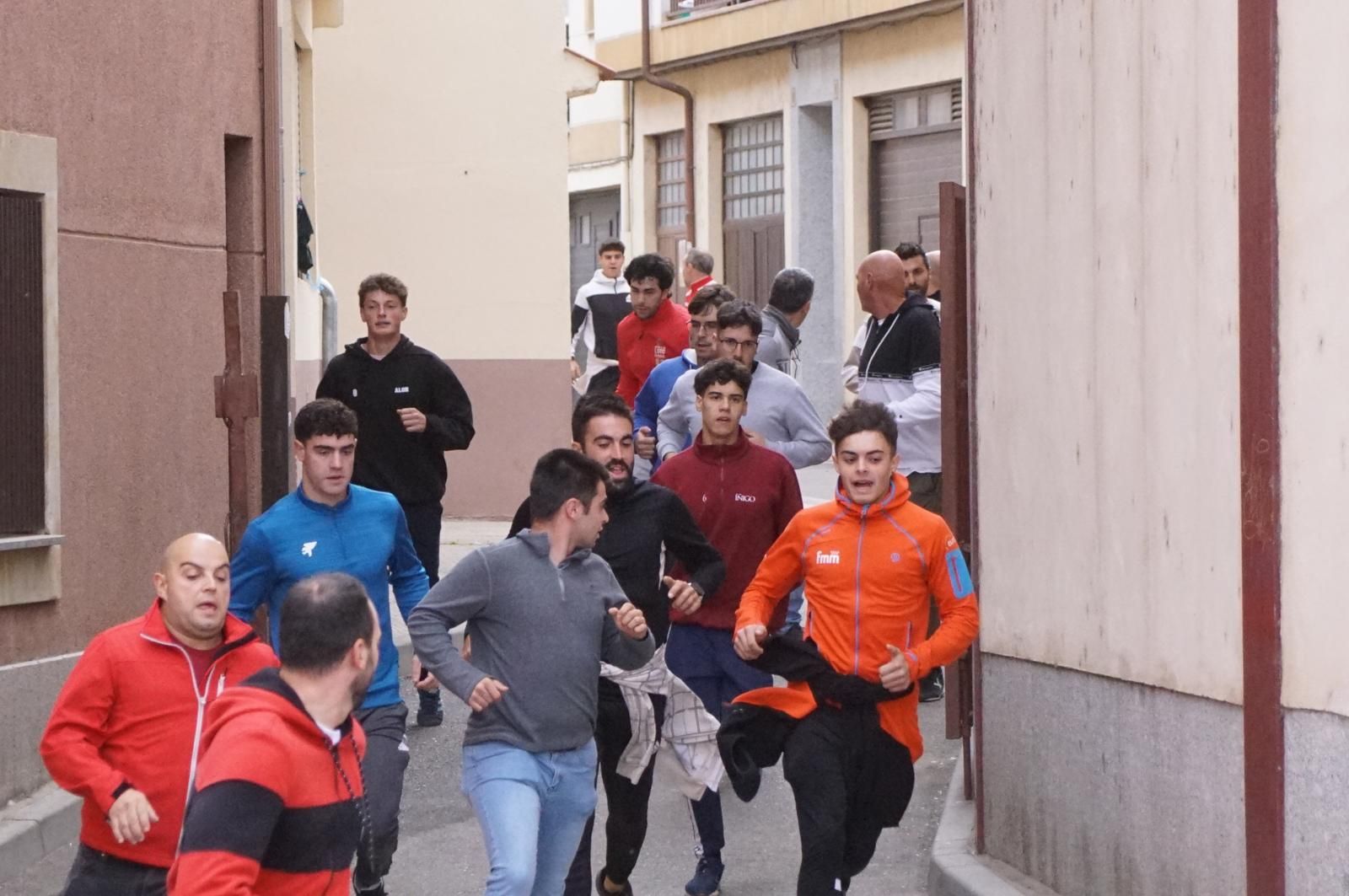 Alba de Tormes celebra un encierro, capea y encierro de minibueyes