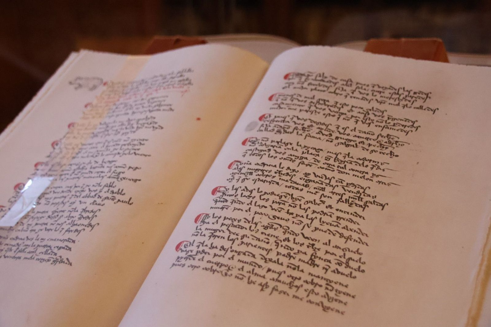 20231005104008-img-1260