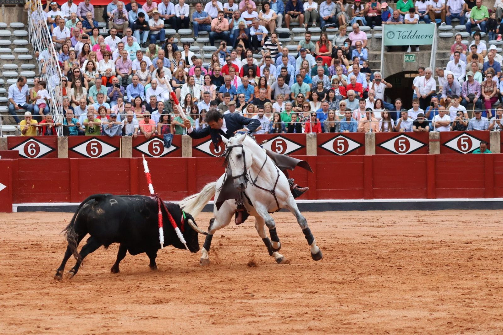 20230909174400-img-0536