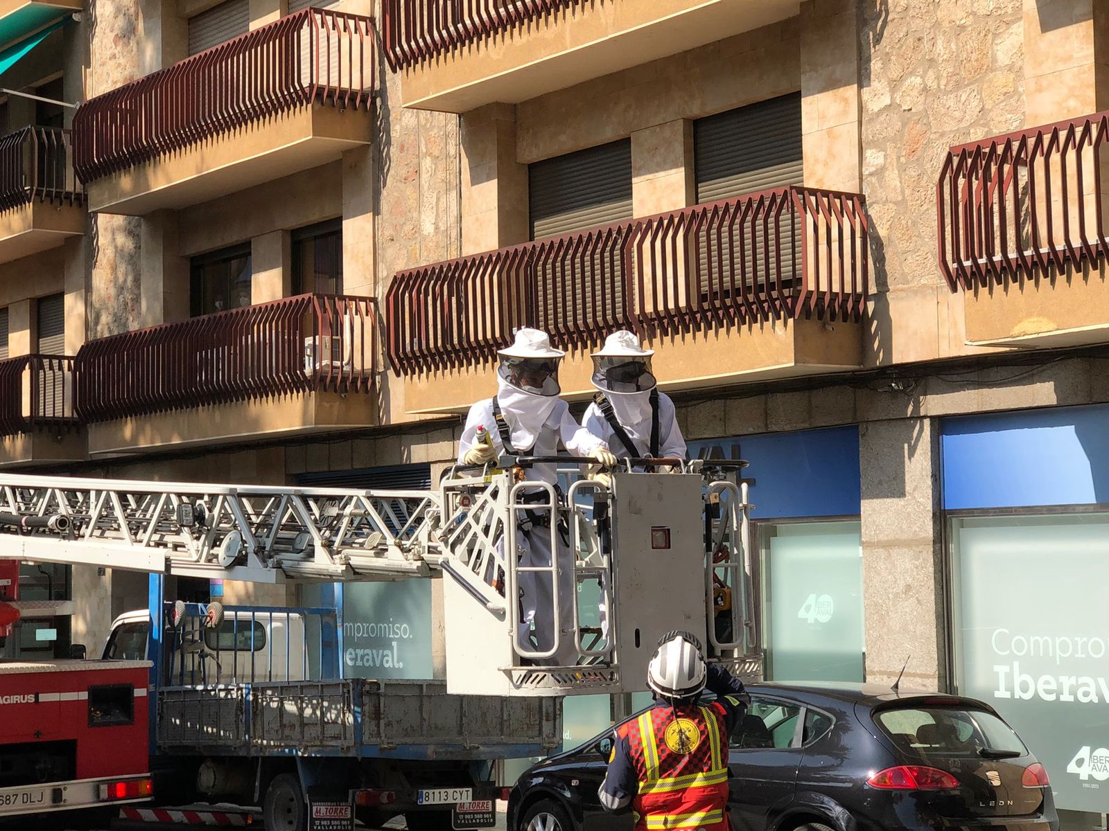 colmenas-en-crespo-rascon-1