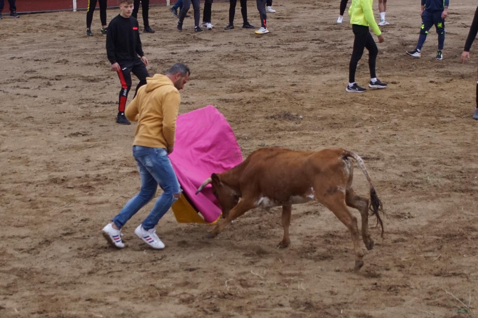 whatsapp-image-2023-05-22-at-20-19-25-1