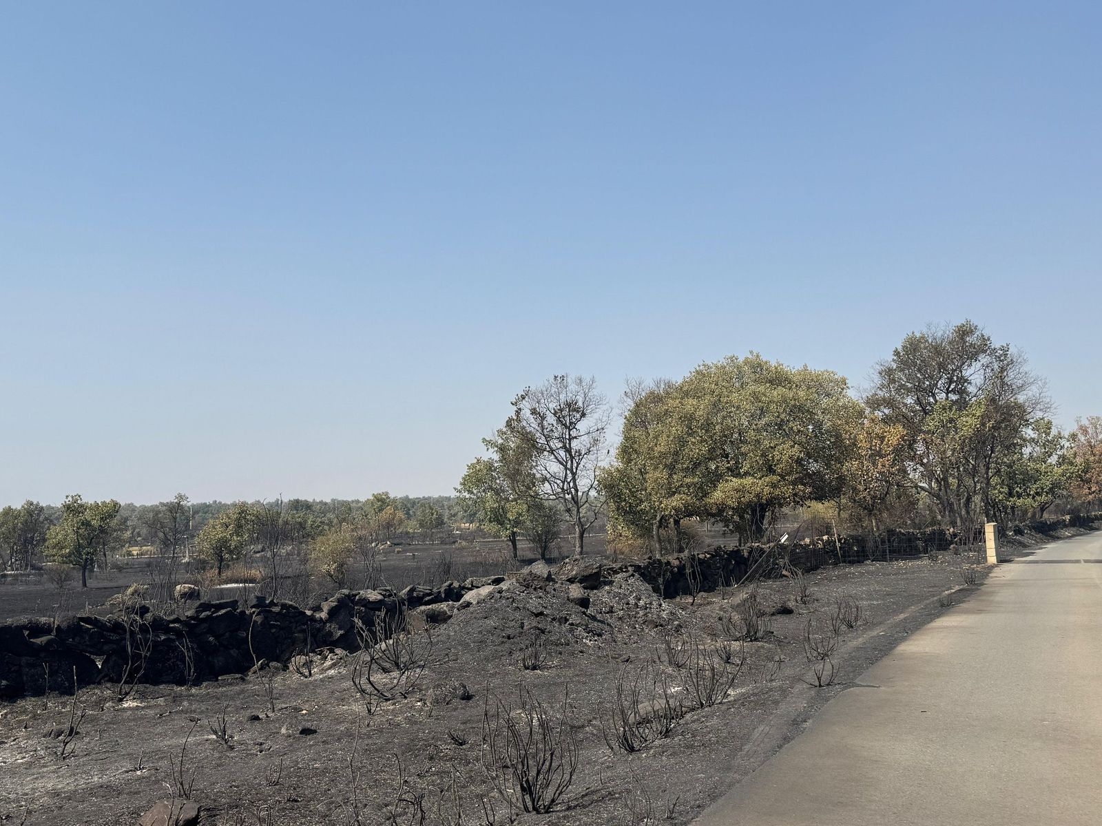 Así han quedado las zonas quemadas de Cipérez