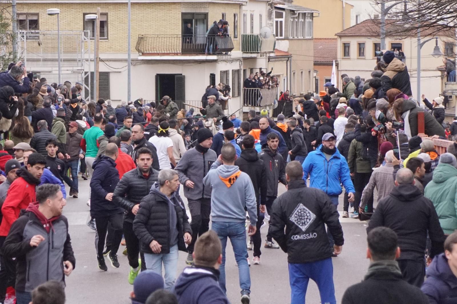 Encierro a Caballo en el Carnaval del Toro 2026 de Ciudad Rodrigo