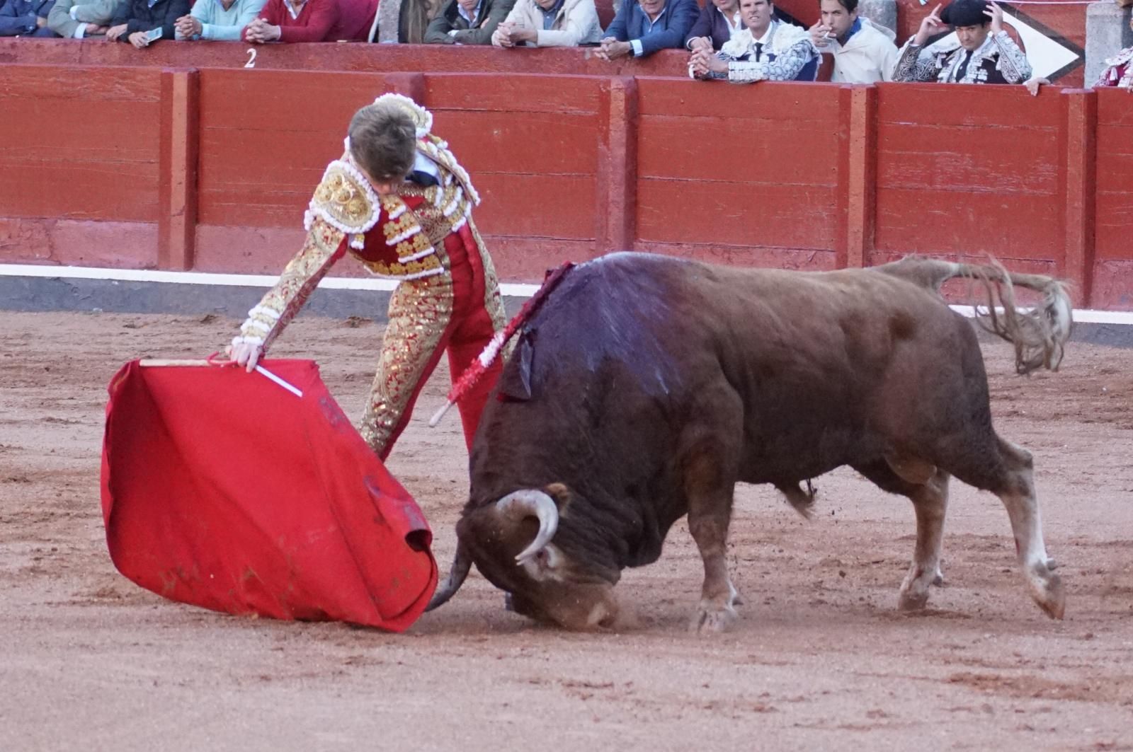 La corrida concurso para despedir la feria con Morante, Talavante y Borja Jiménez: imágenes de los mejores momentos en La Glorieta