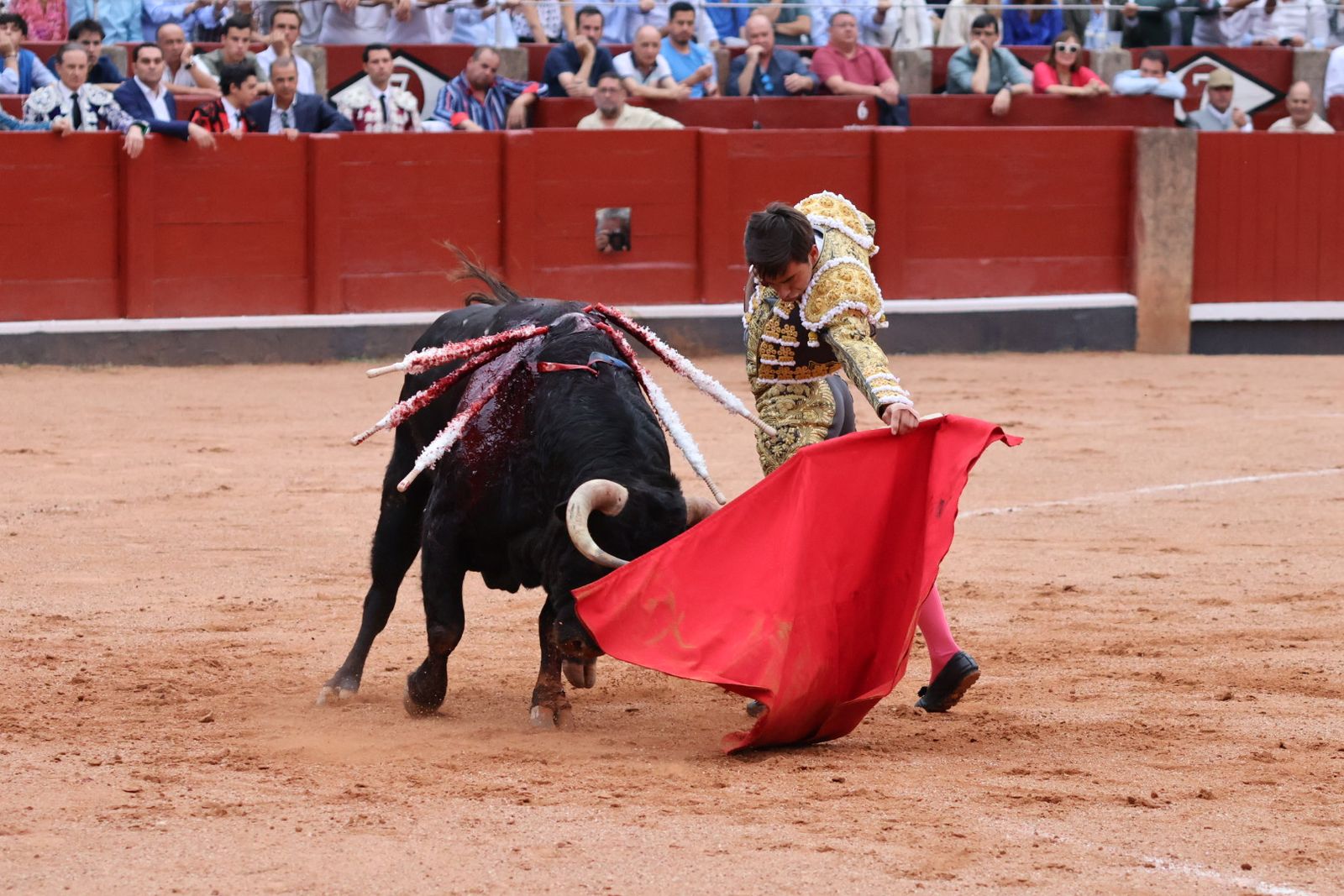 Ismael Martín, Marco Pérez y el aclamado regreso de Morante de la Puebla: su paso por La Glorieta en imágenes