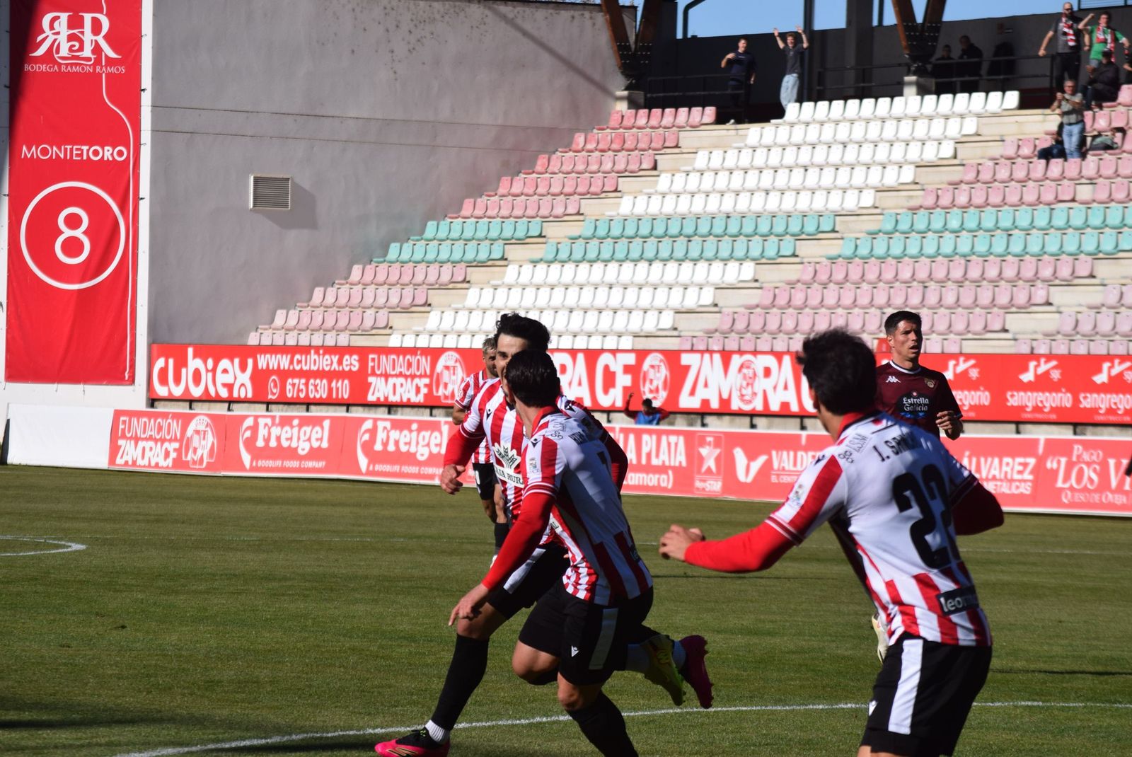 Zamora CF - Pontevedra CF (91).JPG