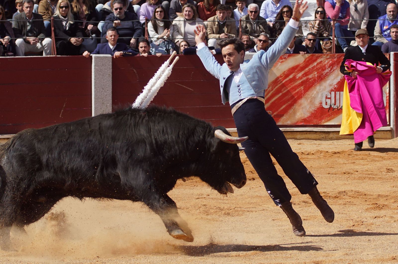 Festival taurino solidario por la esclerosis múltiple en Guijuelo