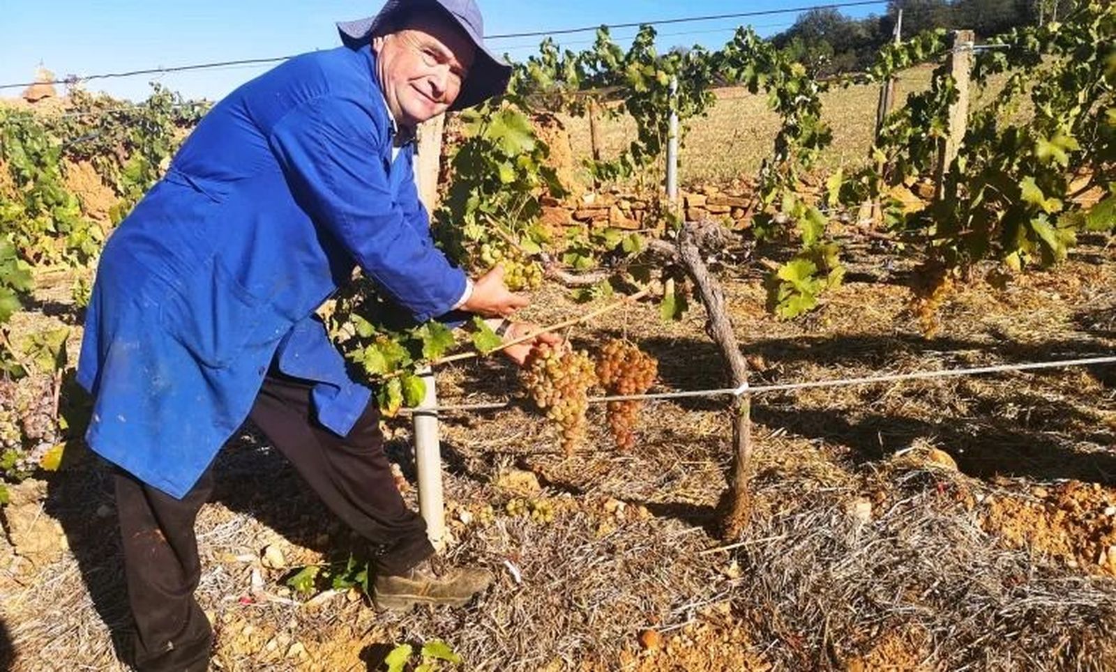 Santos Ferrero Uña. Benavente Digital 2