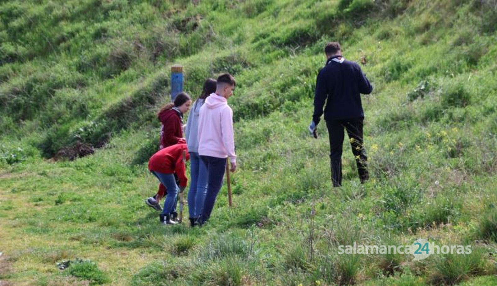 Recogida de basuraleza y plantación de árboles en torno al Volcan de Garrido