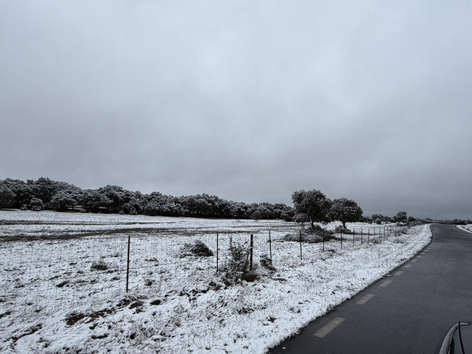 Nieve en Cuatro Calzadas, Pereña y Guijuelo este sábado