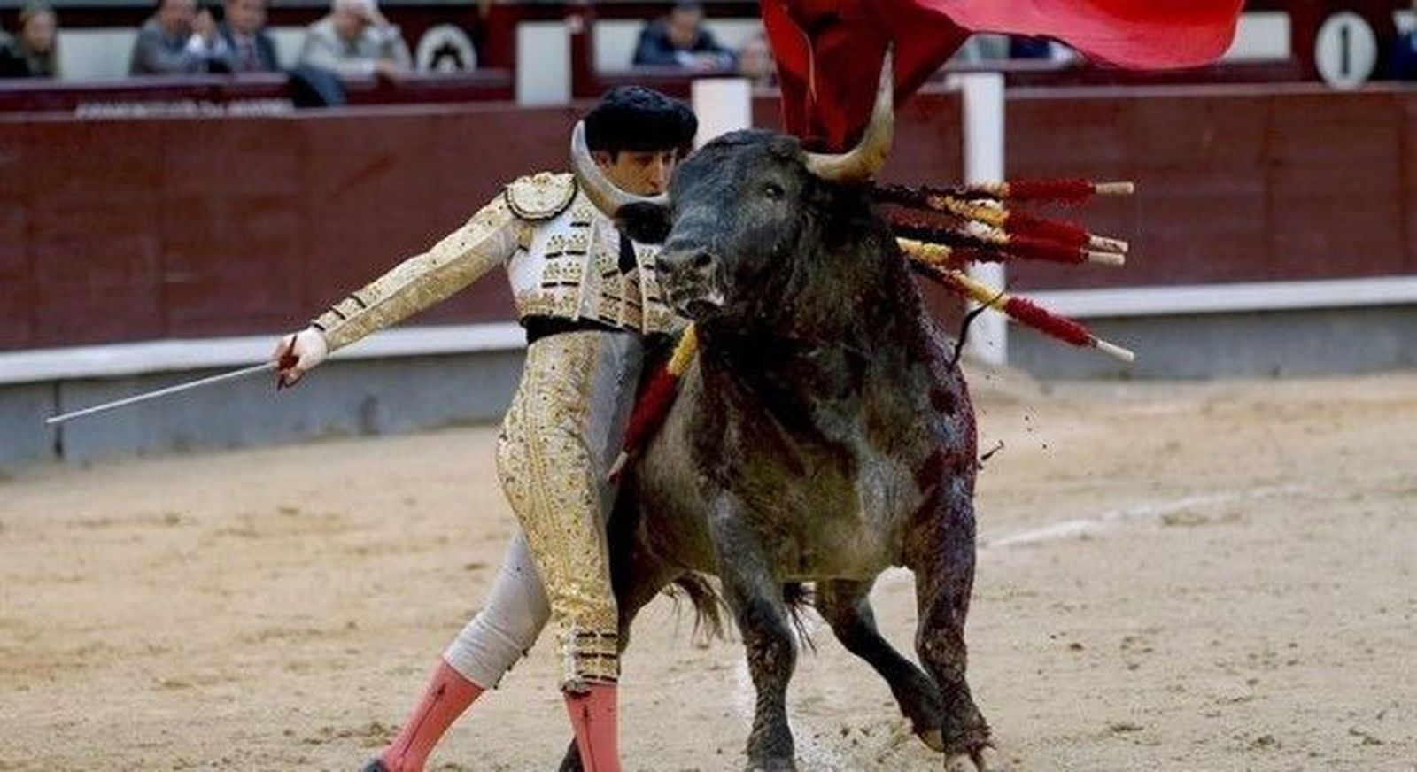 Javier Castaño corta tres orejas en Gijón tras ser intervenido de una cornada