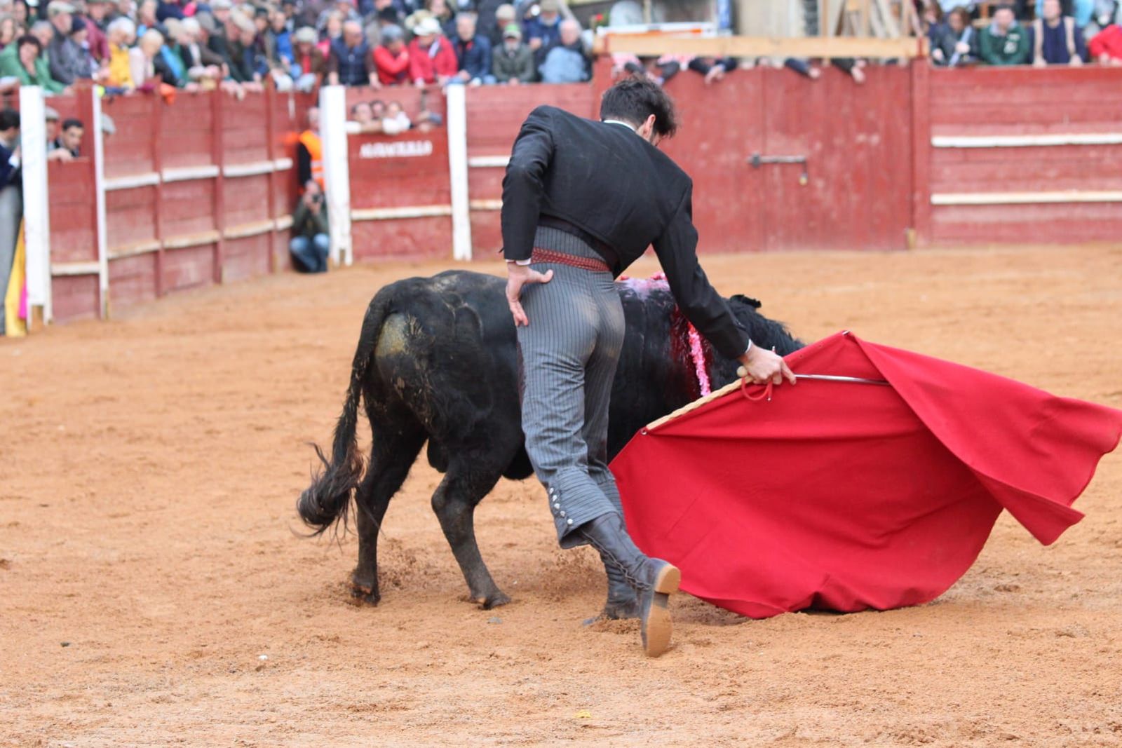 whatsapp-image-2023-02-21-at-17-38-27-1