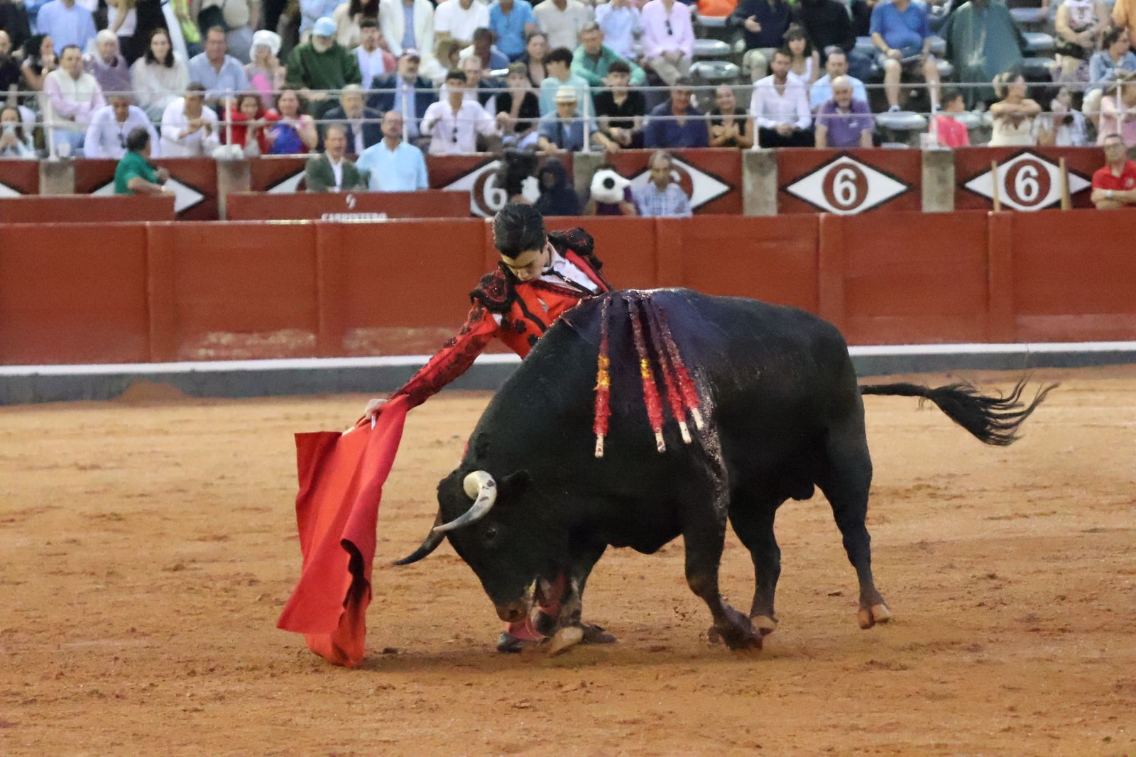 Ismael Martín, Marco Pérez y el aclamado regreso de Morante de la Puebla: su paso por La Glorieta en imágenes