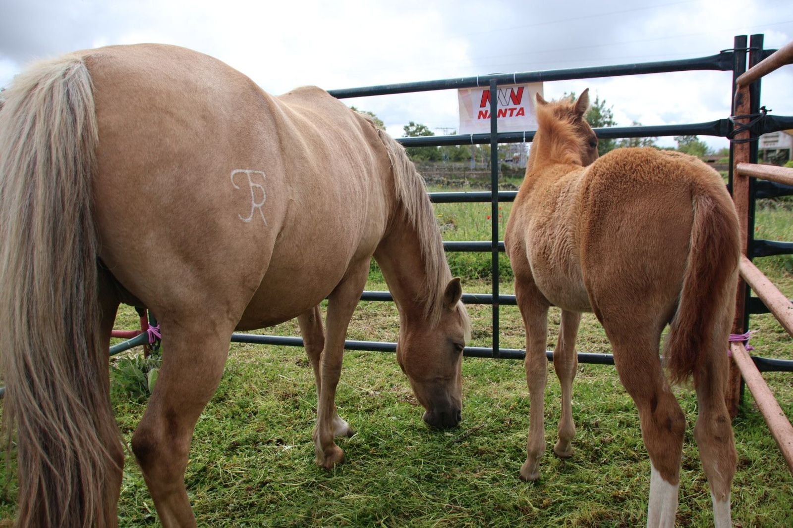 20240501103058-img-2904