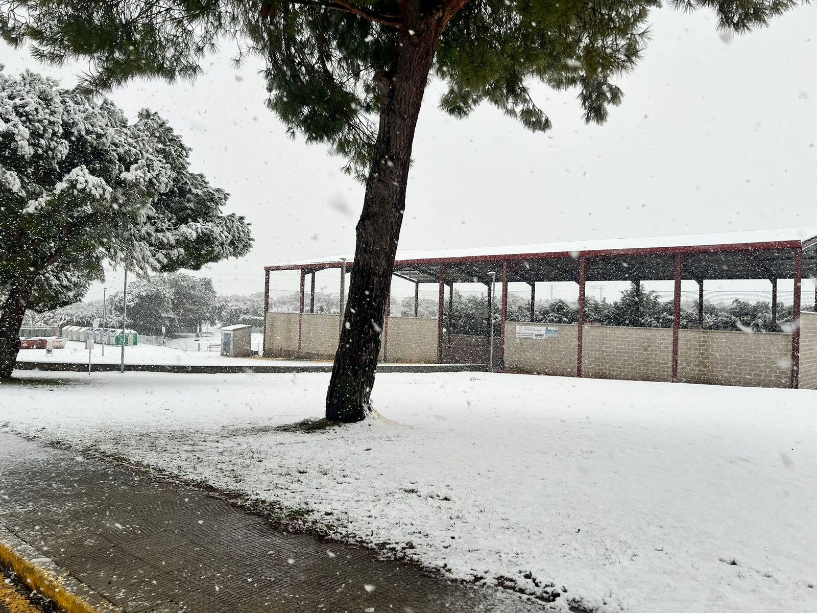 Nevada en Salamanca 28 de enero 2026