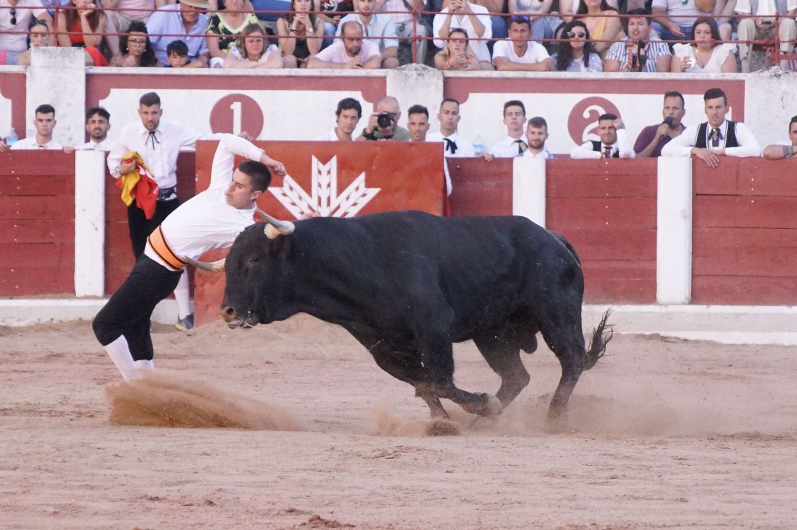 whatsapp-image-2023-07-02-at-22-40-52