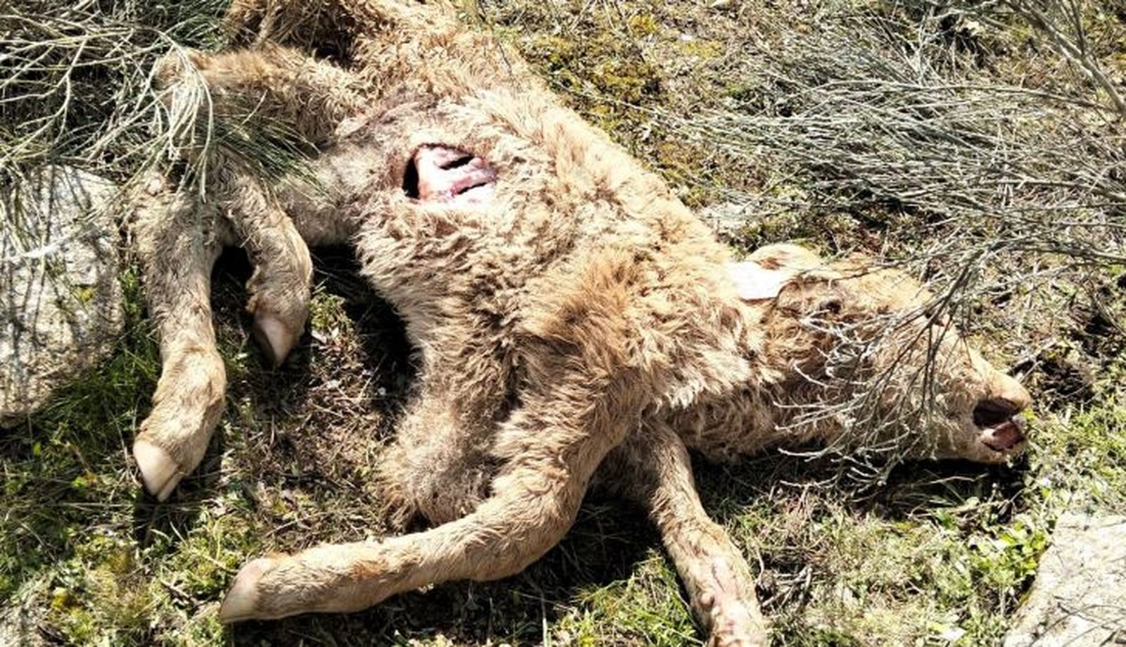 WhatsApp Image 2025 03 20 at 11.56.04