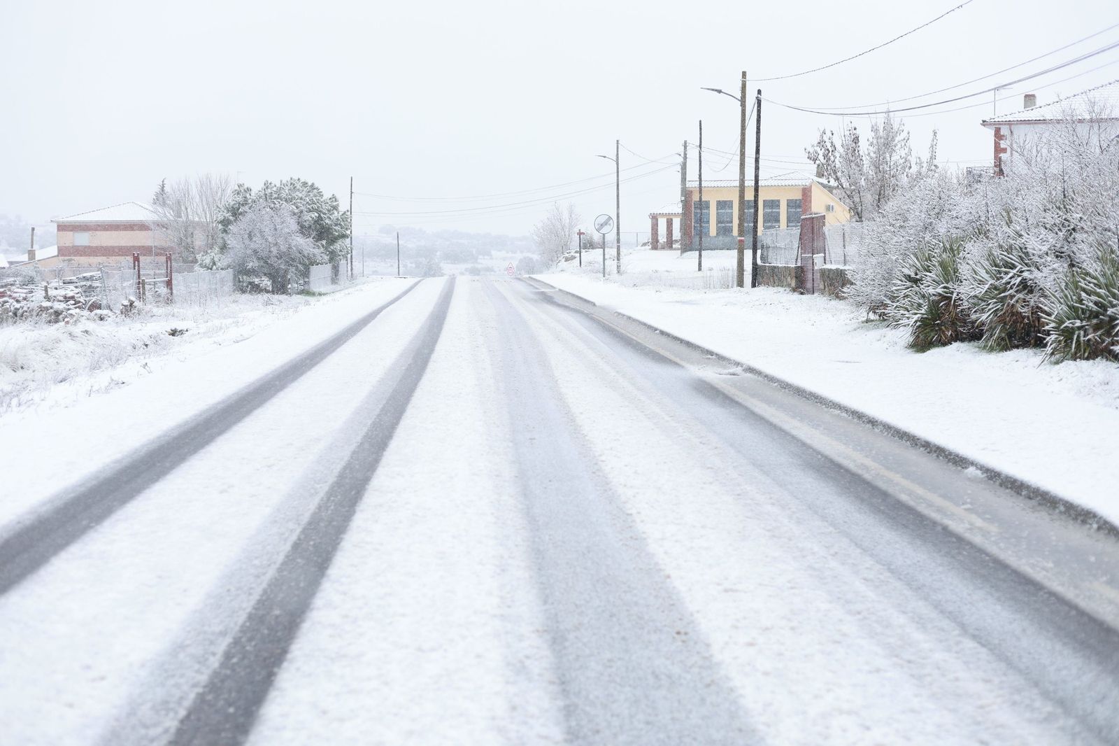 Nieve en la provincia de Zamora. JL Leal. ICAL (5).jpg