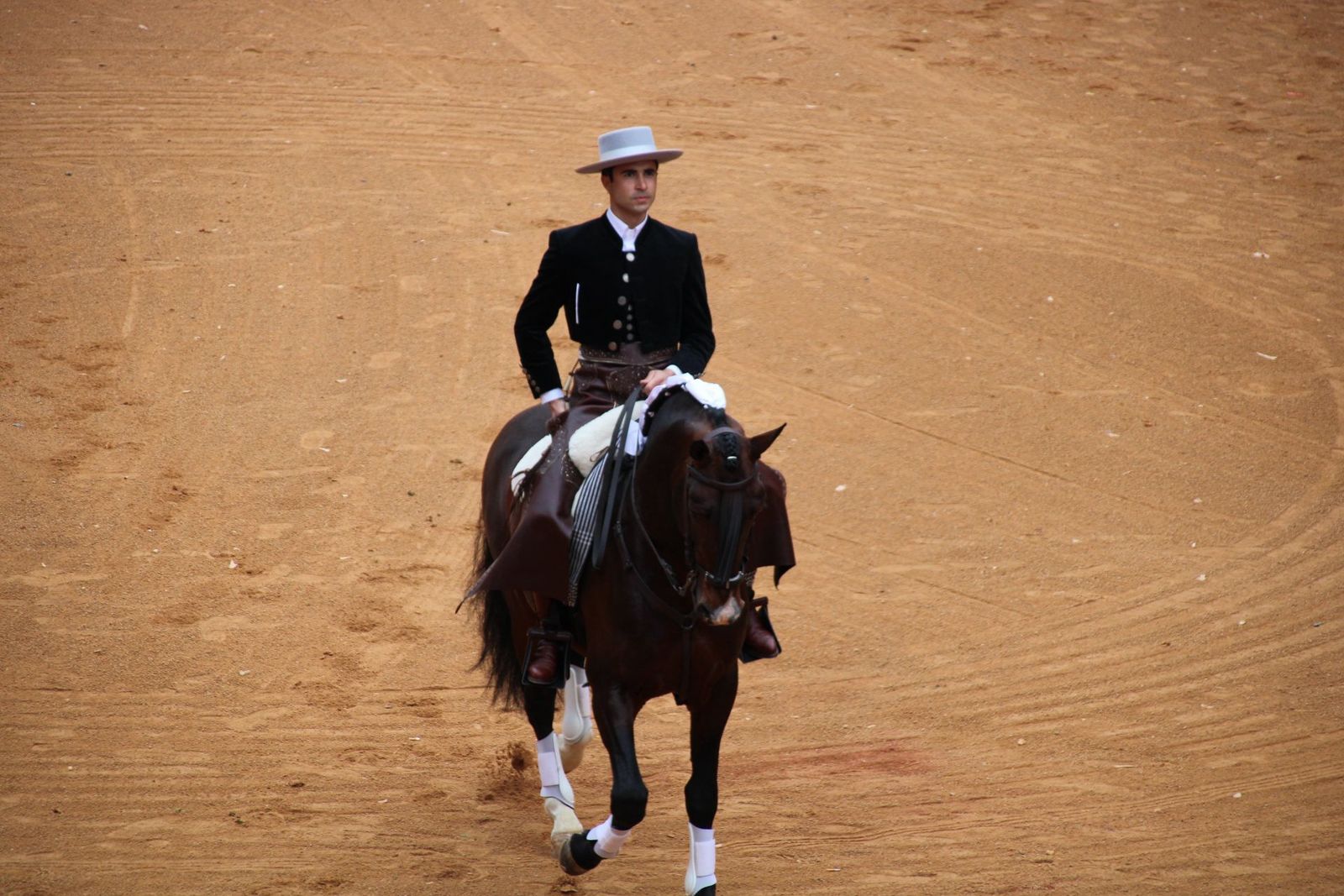 whatsapp-image-2025-03-02-at-16-55-48