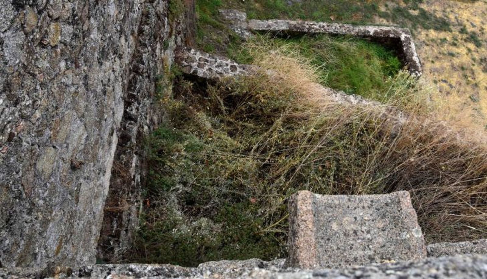 Foto: Plataforma para la Defensa de El Bosque de Béjar
