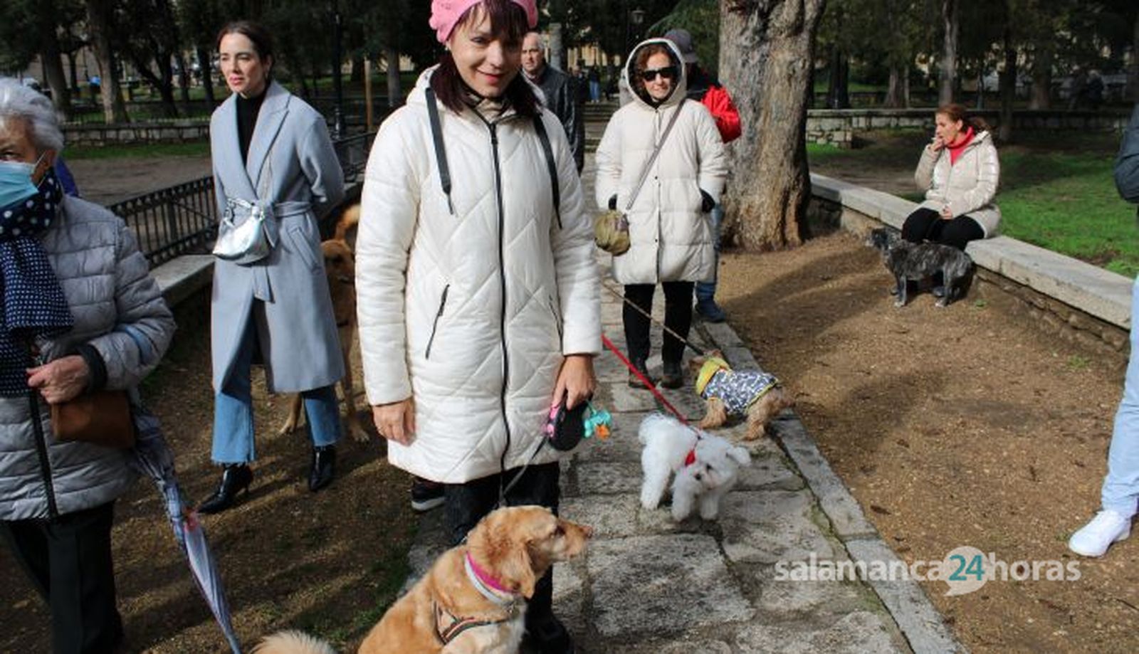 San Antón, bendición de animales 2024. Foto S24H (51)