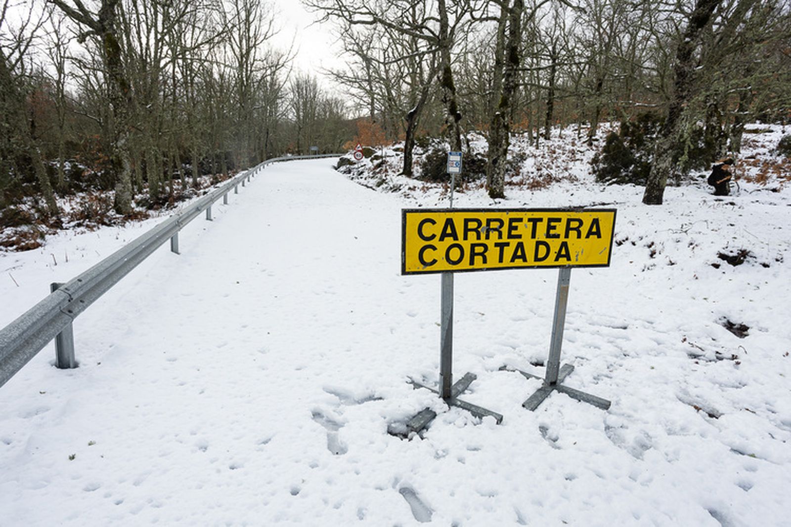 Temporal de nieve en la provincia de Salamanca, nevada 28 de enero de 2026