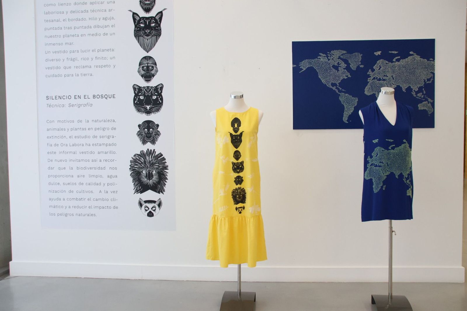 20231027105138-img-5465