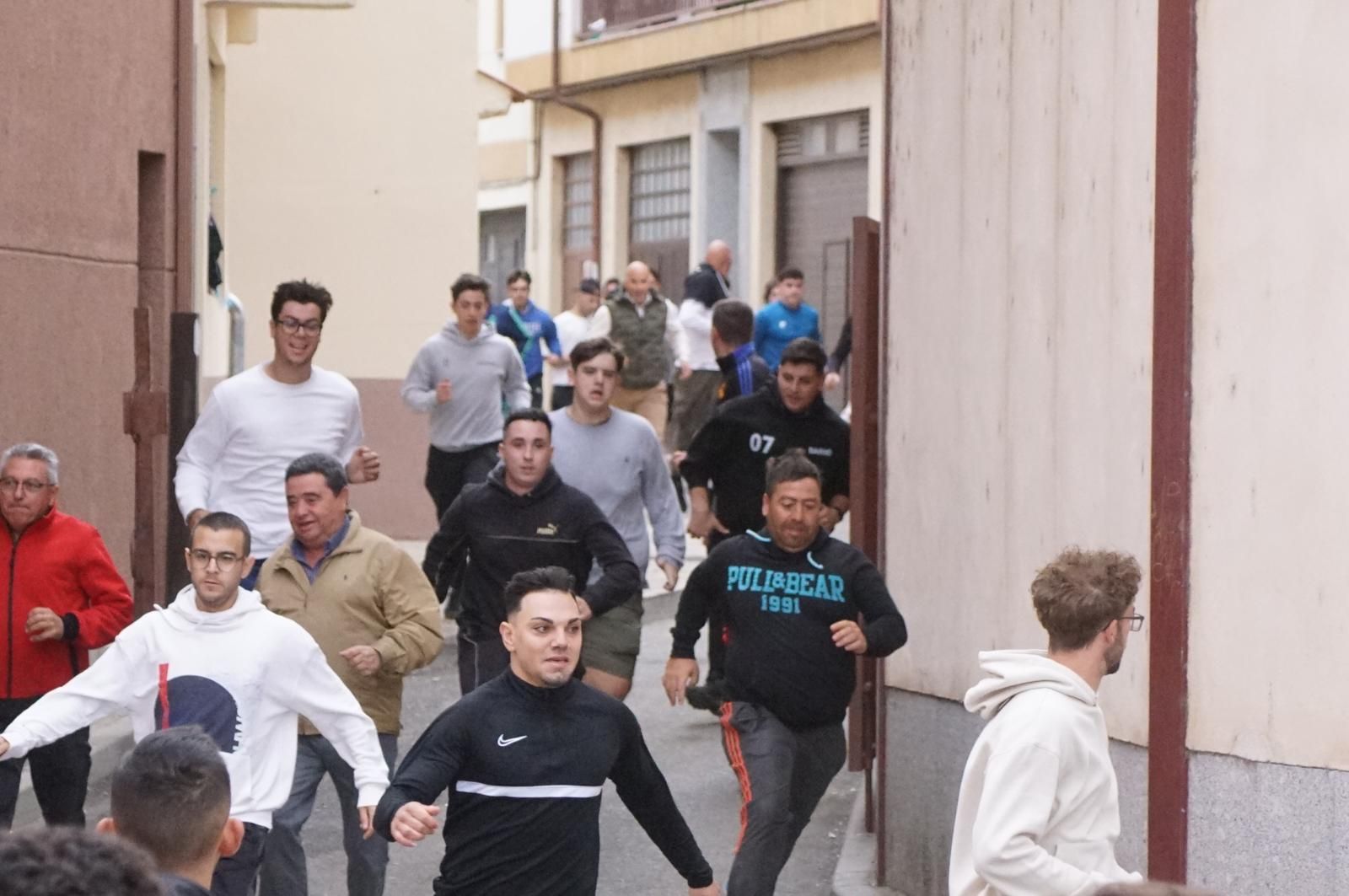 Alba de Tormes celebra un encierro, capea y encierro de minibueyes