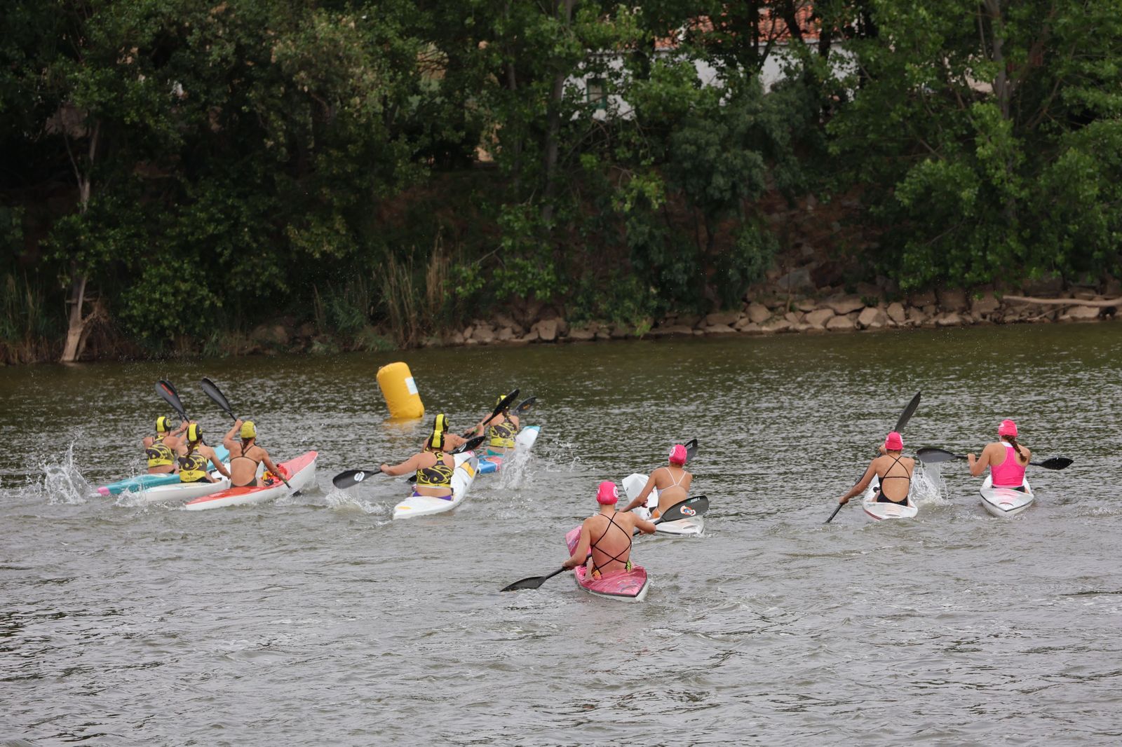 img-2265