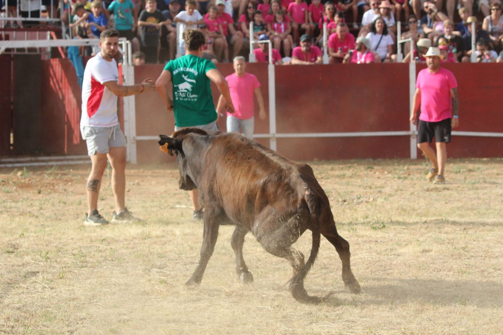 img-2194