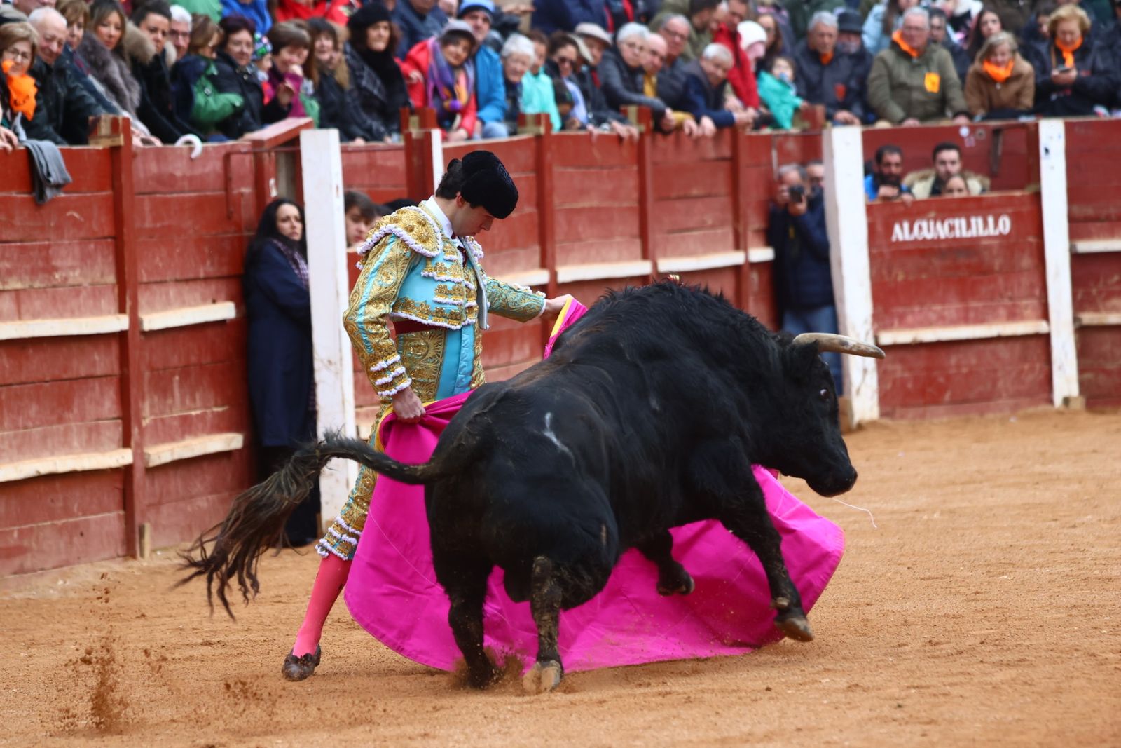 Novillada con picadores de lunes en el Carnaval del Toro de Ciudad Rodrigo 2026