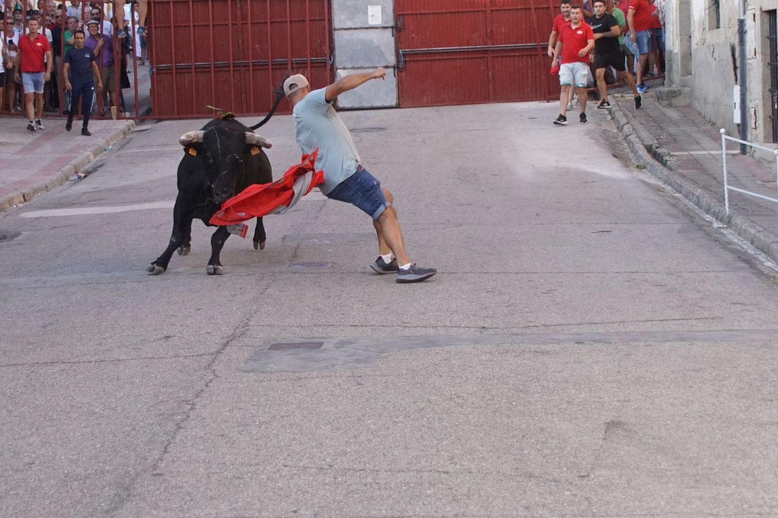 whatsapp-image-2024-08-04-at-21-09-53