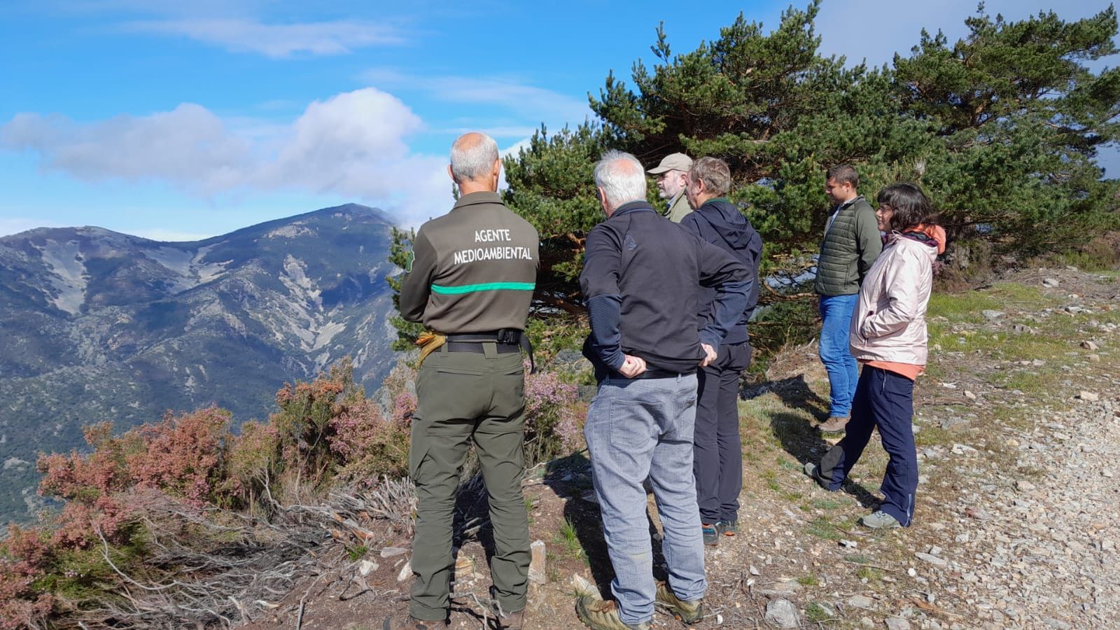 Castilla y León revalida el sello FSC por su gestión forestal sostenible