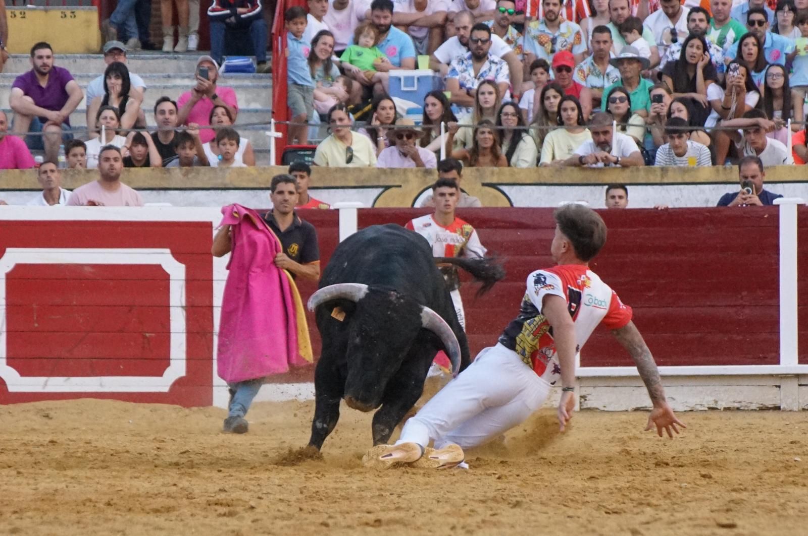 Gran ambiente en los cortes y la suelta de vaquillas de Peñaranda