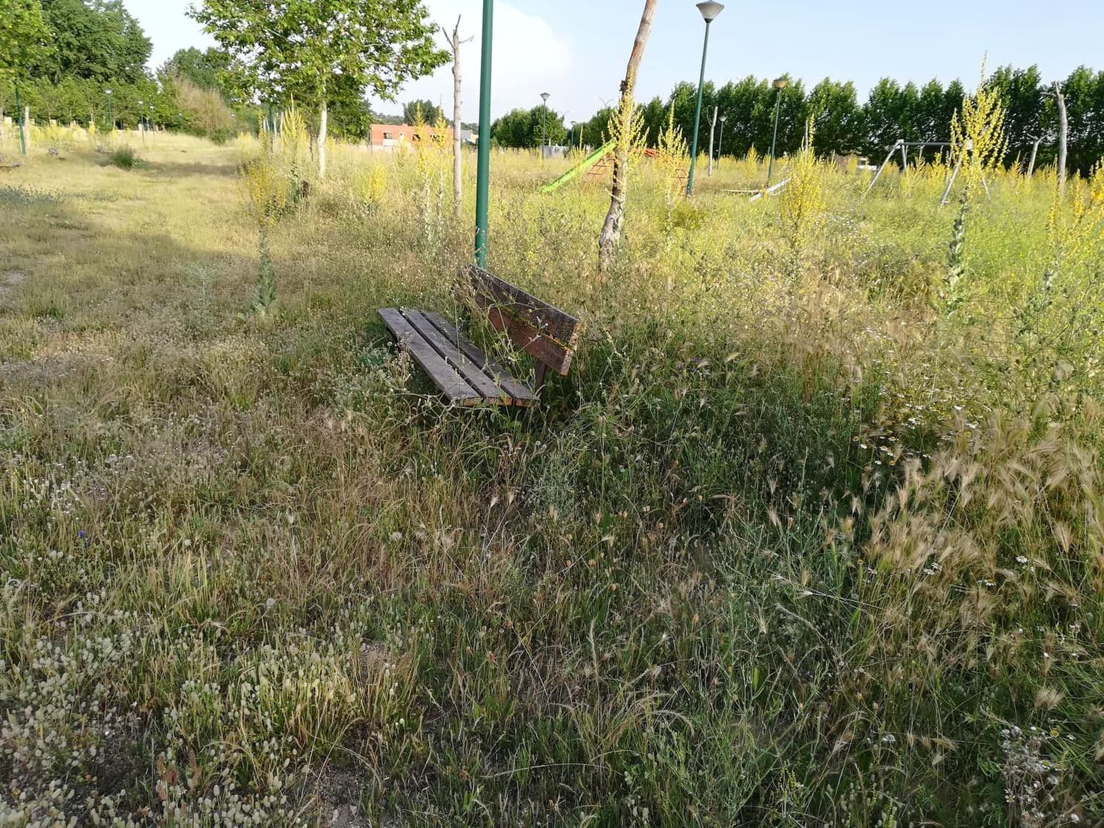 Parque infantil de Puente Gudino (villamayor) (20)