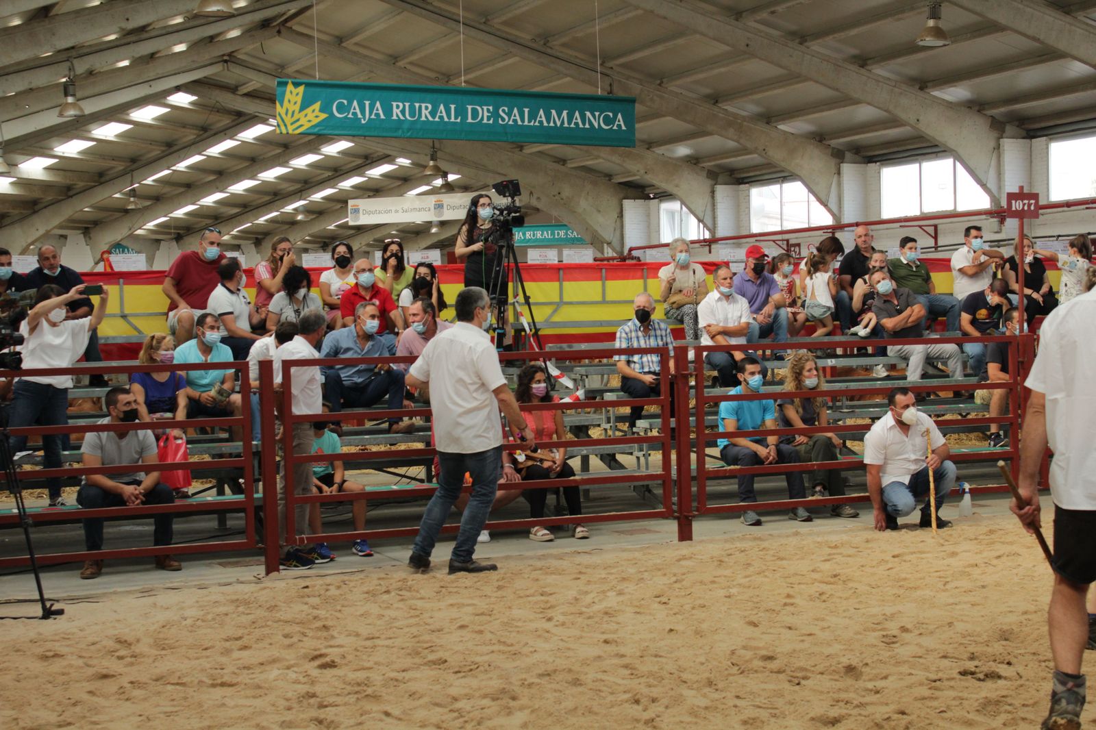 blonde-de-aquitania-6